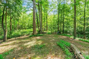 321 Forbes Ct, Clover, SC 29710 - Photo 30