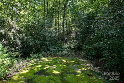 Lot 11 Silver Maple Trail, Brevard, NC 28712 - Photo 10