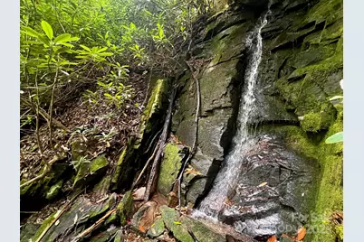 Lot 11 Silver Maple Trail, Brevard, NC 28712 - Photo 1