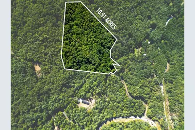 Lot 11 Silver Maple Trail, Brevard, NC 28712 - Photo 4