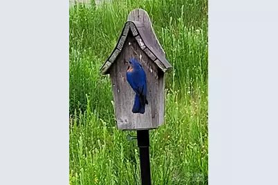 1243 Greenland Drive, Denver, NC 28037 - Photo 32