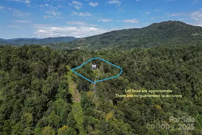 386 Old Log Road, Green Mountain, NC 28740 - Photo 42