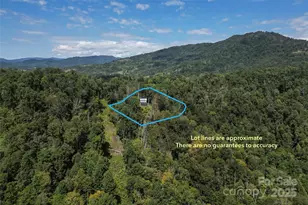 386 Old Log Rd, Green Mountain, NC 28740 - Photo 42