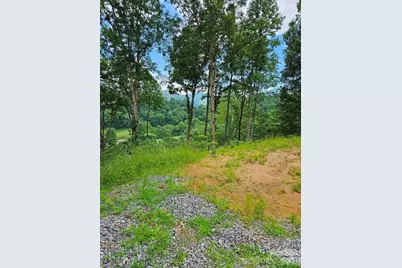 97 Junebug Trail, Waynesville, NC 28785 - Photo 6