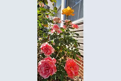 218 Wilson Street #A&B, Albemarle, NC 28001 - Photo 16