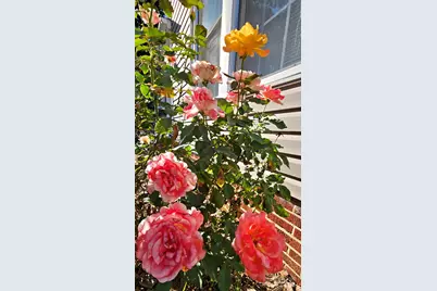 218 Wilson Street #A&B, Albemarle, NC 28001 - Photo 14