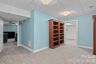 23 Clear Vista Dr, Asheville, NC 28805 - Photo 38