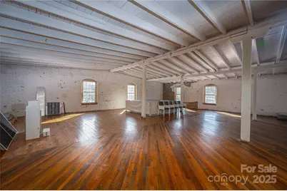 313 Government Street, Lincolnton, NC 28092 - Photo 22