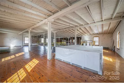 313 Government Street, Lincolnton, NC 28092 - Photo 24