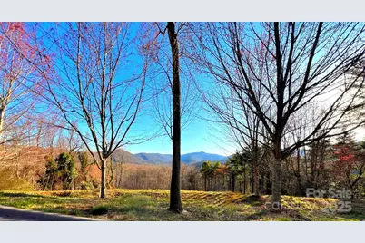 33 Grovepoint Way, Asheville, NC 28804 - Photo 2