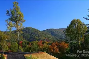 33 Grovepoint Way, Asheville, NC 28804 - Photo 1