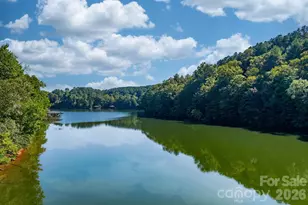 2366 W Paradise Harbor Dr, Connelly Springs, NC 28612 - Photo 46