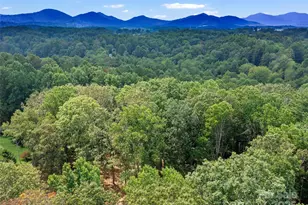 631 Macedonia Rd, Asheville, NC 28804 - Photo 40