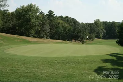 11055 Holiday Cove Drive, Tega Cay, SC 29708 - Photo 12