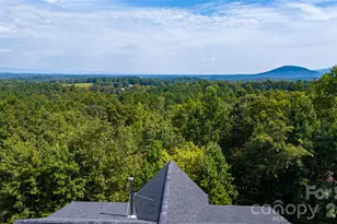 265 Grandview Peaks Dr, Nebo, NC 28761 - Photo 10