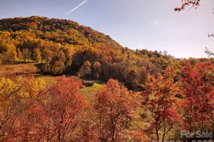 235 Timucua Trail, Waynesville, NC 28786 - Photo 10