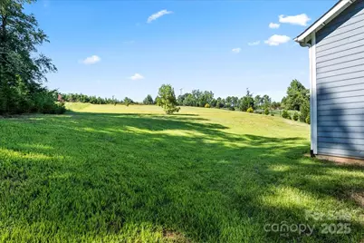 4243 Island Fox Lane, Denver, NC 28037 - Photo 42