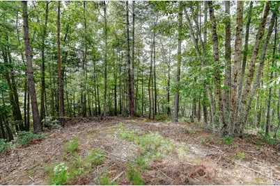 131 West Point Drive, Nebo, NC 28761 - Photo 28
