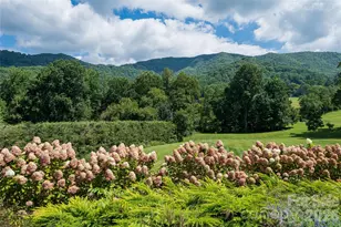 208 Parrish Farm Rd, Waynesville, NC 28786 - Photo 44