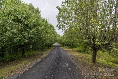 1614 Old North Road, Lenoir, NC 28645 - Photo 20