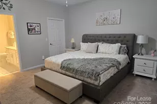 809 Ledgestone Ct, Fort Mill, SC 29708 - Photo 18