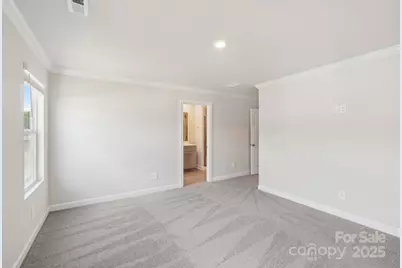 254 Tiger Lily Drive, Fort Mill, SC 29708 - Photo 12