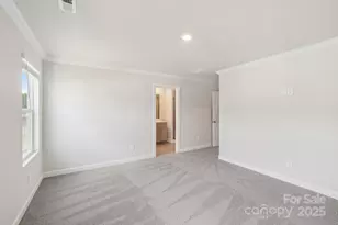 254 Tiger Lily Dr, Fort Mill, SC 29708 - Photo 12