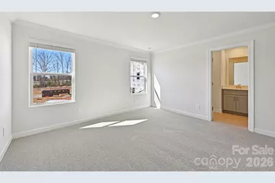 254 Tiger Lily Drive, Fort Mill, SC 29708 - Photo 18