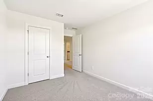 254 Tiger Lily Dr, Fort Mill, SC 29708 - Photo 12