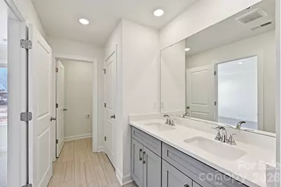 254 Tiger Lily Drive, Fort Mill, SC 29708 - Photo 20