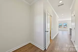 254 Tiger Lily Dr, Fort Mill, SC 29708 - Photo 4