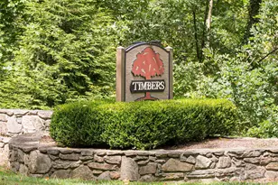 1302 Timber Trail, Asheville, NC 28804 - Photo 36