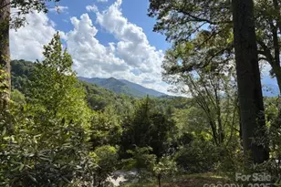 28 Wake St, Waynesville, NC 28786 - Photo 20