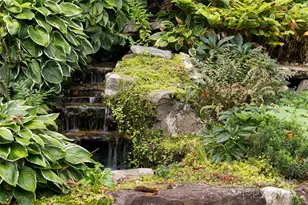 53 Cedar Hill Dr, Asheville, NC 28803 - Photo 32