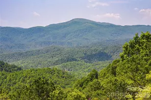 41 High Cliffs Trail, Black Mountain, NC 28711 - Photo 4