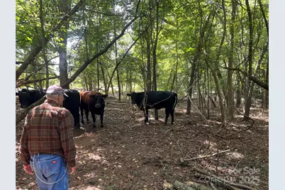 1301 Double Springs Church Road, Shelby, NC 28150 - Photo 42