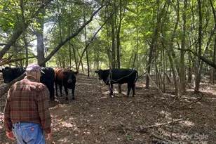 1301 Double Springs Church Rd, Shelby, NC 28150 - Photo 42