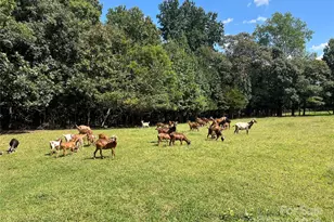 1301 Double Springs Church Rd, Shelby, NC 28150 - Photo 20