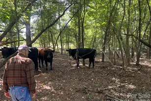 1301 Double Springs Church Rd, Shelby, NC 28150 - Photo 24