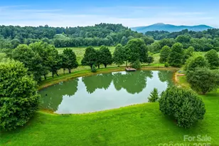 26 Cook Ln, Mills River, NC 28759 - Photo 8