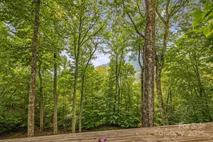215 Goldenleaf Rd, Mars Hill, NC 28754 - Photo 4