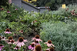 5 Busbee Rd, Asheville, NC 28803 - Photo 48