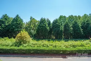 103 Steinbeck Wy, Mooresville, NC 28117 - Photo 12