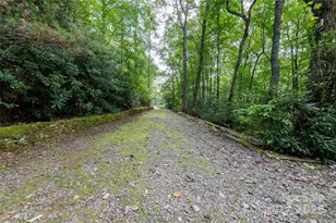 479 Big Ridge Rd, Burnsville, NC 28714 - Photo 40