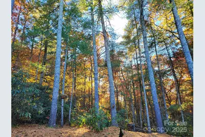 15 Madelyn Lane, Fairview, NC 28730 - Photo 48