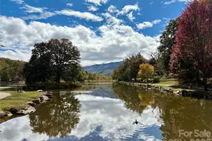 102 Kerlee St, Black Mountain, NC 28711 - Photo 26