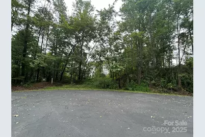 168 Robinwood Trail, Bostic, NC 28018 - Photo 2