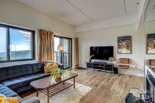 303 Sugar Top Dr, Sugar Mountain, NC 28604 - Photo 4