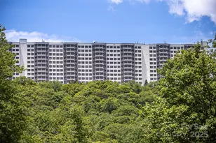 303 Sugar Top Dr, Sugar Mountain, NC 28604 - Photo 38