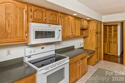 2431 W Cumming Woods Lane, Hendersonville, NC 28739 - Photo 20